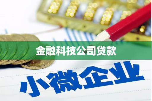 华容金融科技公司贷款