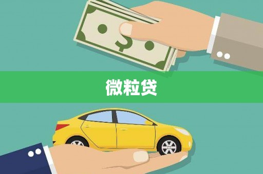 华容微粒贷