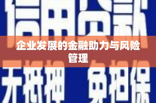 华容企业发展的金融助力与风险管理
