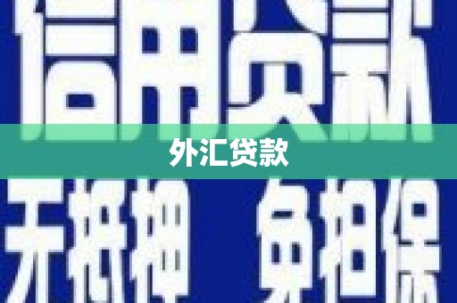 华容外汇贷款