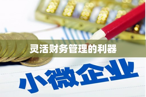 华容灵活财务管理的利器