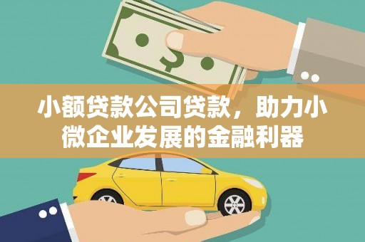 华容小额贷款公司贷款，助力小微企业发展的金融利器