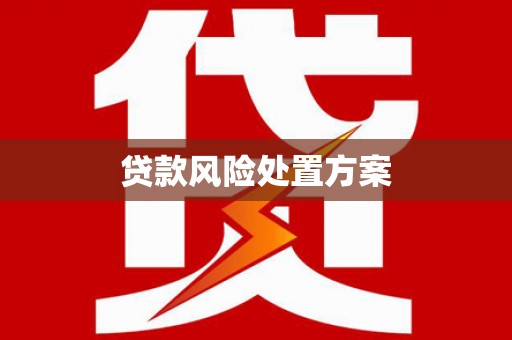 华容贷款风险处置方案