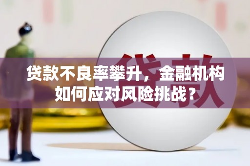 华容贷款不良率攀升，金融机构如何应对风险挑战？