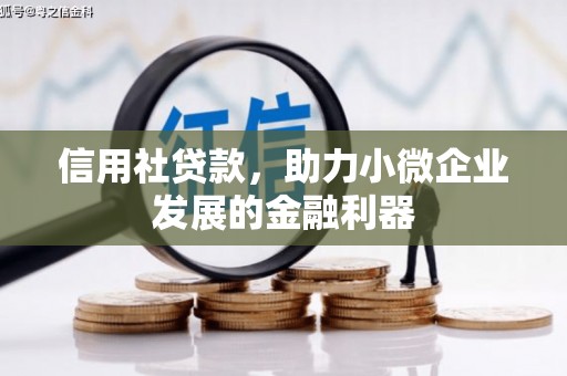 华容信用社贷款，助力小微企业发展的金融利器