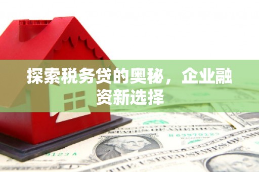 华容探索税务贷的奥秘，企业融资新选择