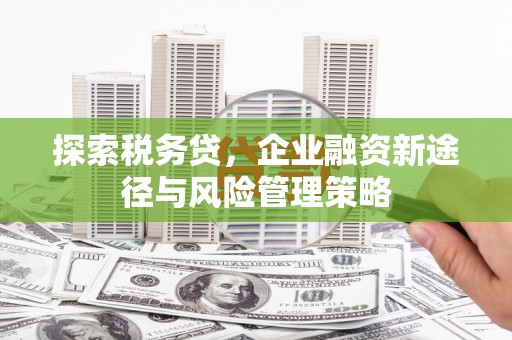 华容探索税务贷，企业融资新途径与风险管理策略
