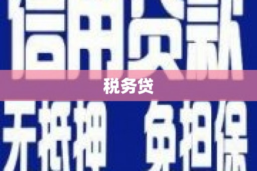 华容税务贷