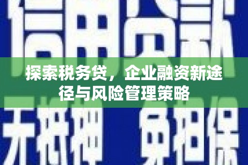 华容探索税务贷，企业融资新途径与风险管理策略
