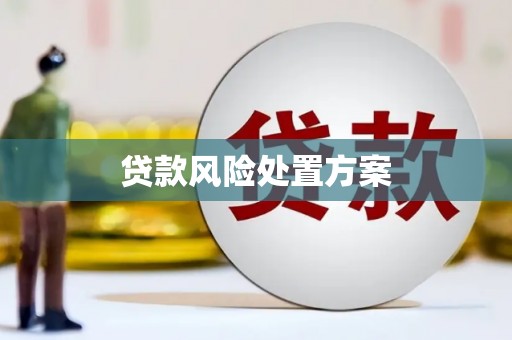 华容贷款风险处置方案