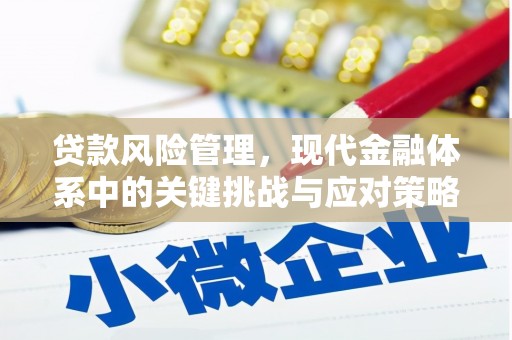 华容贷款风险管理，现代金融体系中的关键挑战与应对策略