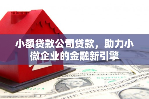 华容小额贷款公司贷款，助力小微企业的金融新引擎