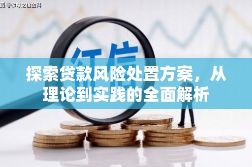 华容探索贷款风险处置方案，从理论到实践的全面解析