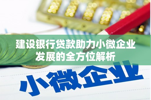 华容建设银行贷款助力小微企业发展的全方位解析