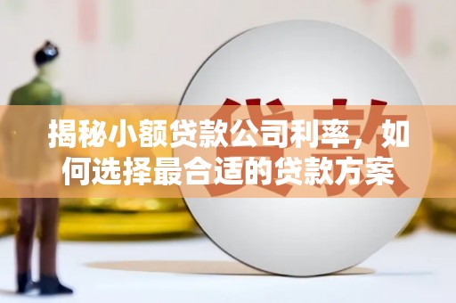 华容揭秘小额贷款公司利率，如何选择最合适的贷款方案