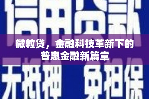 华容微粒贷，金融科技革新下的普惠金融新篇章