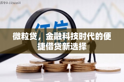 华容微粒贷，金融科技时代的便捷借贷新选择
