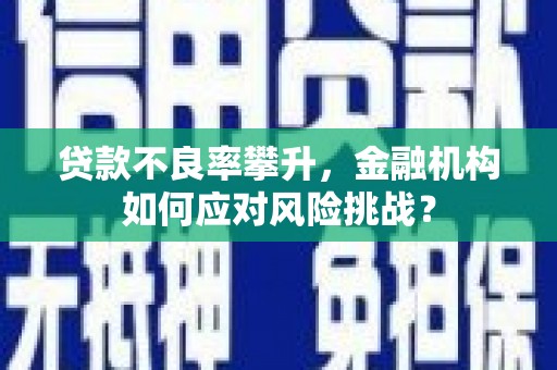 华容贷款不良率攀升，金融机构如何应对风险挑战？