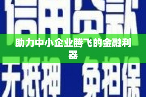 华容助力中小企业腾飞的金融利器